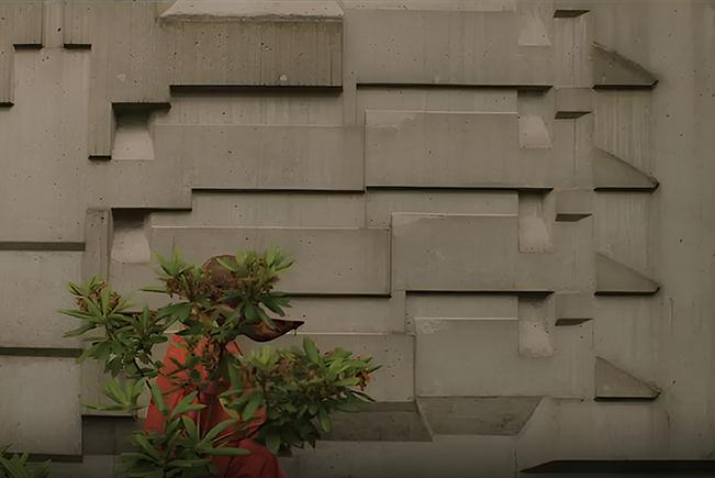 Nirbhai (nep) Singh Sidhu and without SHAPE without FORM: Awakened by the Unstruck